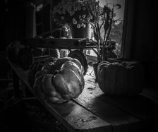 Farmer house -  pumpkin